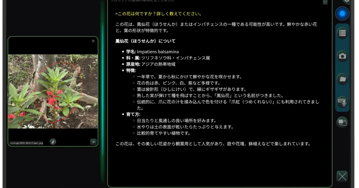 画像が削除されました